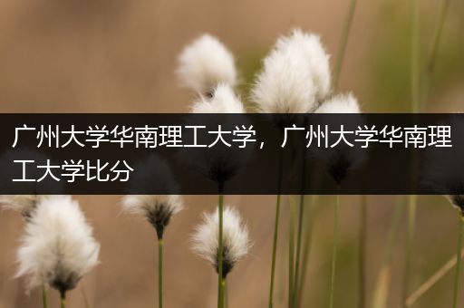 广州大学华南理工大学，广州大学华南理工大学比分