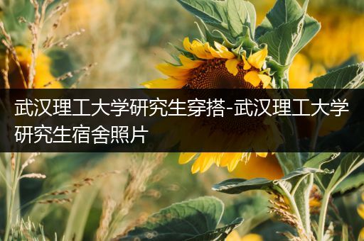 武汉理工大学研究生穿搭-武汉理工大学研究生宿舍照片