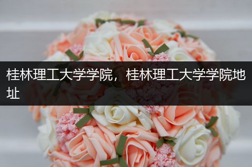 桂林理工大学学院，桂林理工大学学院地址