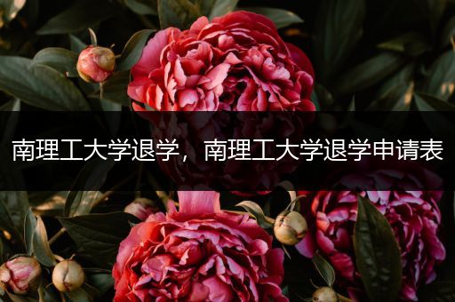 南理工大学退学，南理工大学退学申请表