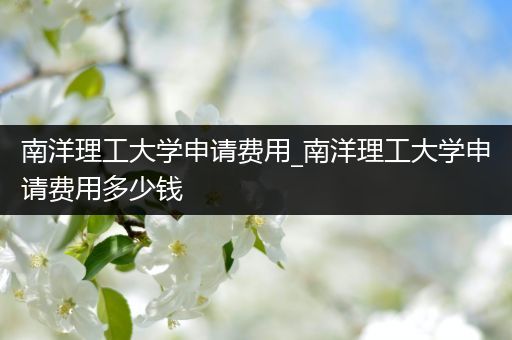 南洋理工大学申请费用_南洋理工大学申请费用多少钱
