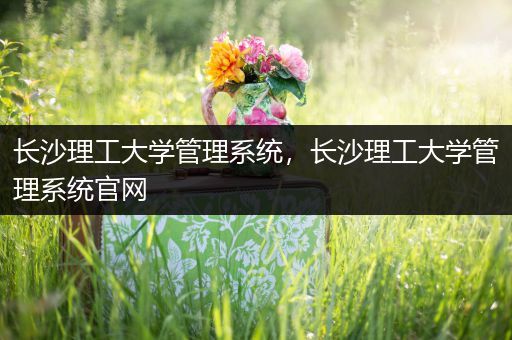长沙理工大学管理系统，长沙理工大学管理系统官网