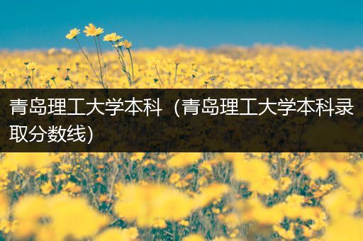 青岛理工大学本科（青岛理工大学本科录取分数线）