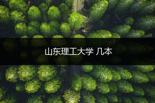 山东理工大学 几本