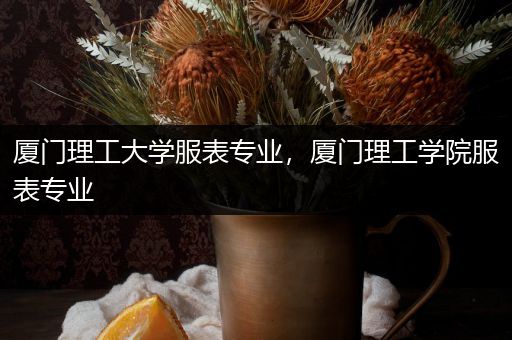厦门理工大学服表专业，厦门理工学院服表专业
