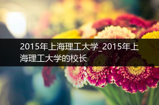 2015年上海理工大学_2015年上海理工大学的校长
