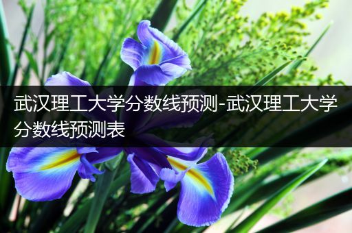 武汉理工大学分数线预测-武汉理工大学分数线预测表