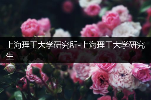 上海理工大学研究所-上海理工大学研究生