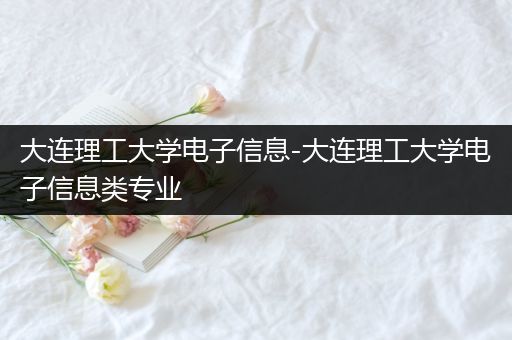 大连理工大学电子信息-大连理工大学电子信息类专业