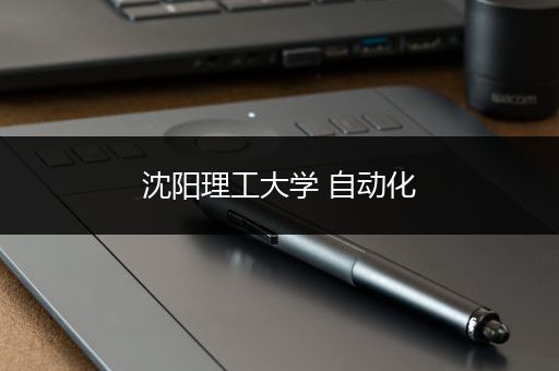 沈阳理工大学 自动化