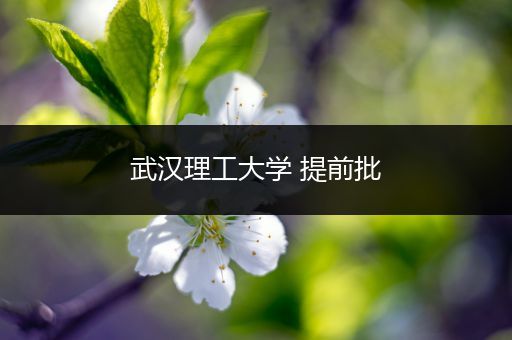 武汉理工大学 提前批