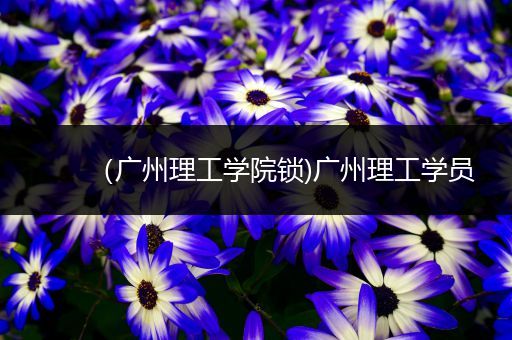 （广州理工学院锁)广州理工学员