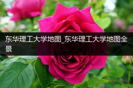 东华理工大学地图_东华理工大学地图全景