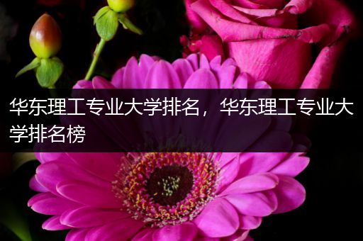 华东理工专业大学排名，华东理工专业大学排名榜