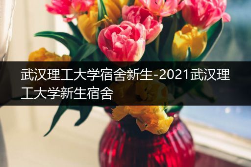 武汉理工大学宿舍新生-2021武汉理工大学新生宿舍