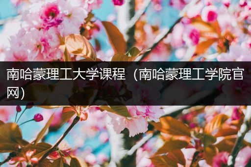 南哈蒙理工大学课程（南哈蒙理工学院官网）