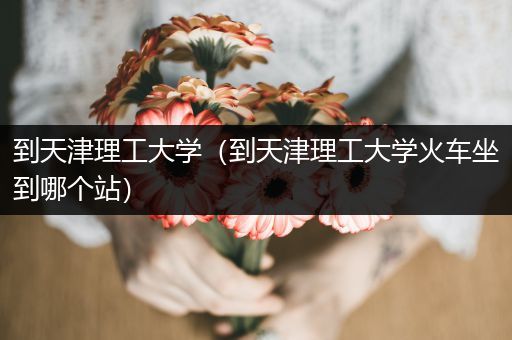 到天津理工大学（到天津理工大学火车坐到哪个站）