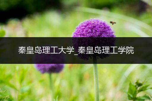 秦皇岛理工大学_秦皇岛理工学院