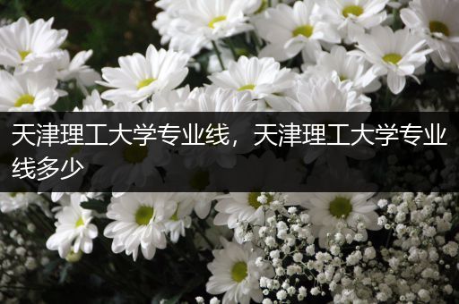天津理工大学专业线，天津理工大学专业线多少