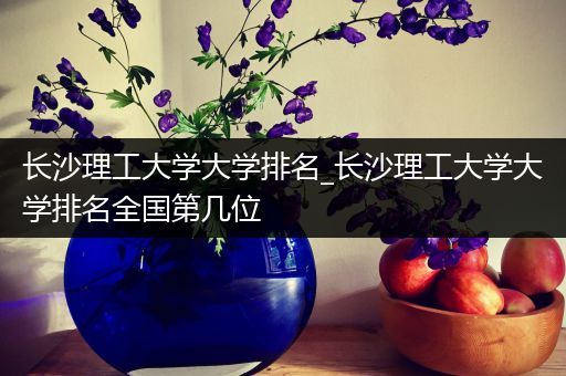 长沙理工大学大学排名_长沙理工大学大学排名全国第几位