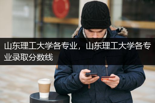 山东理工大学各专业，山东理工大学各专业录取分数线