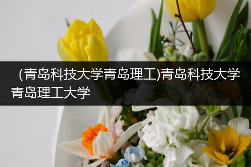 （青岛科技大学青岛理工)青岛科技大学青岛理工大学