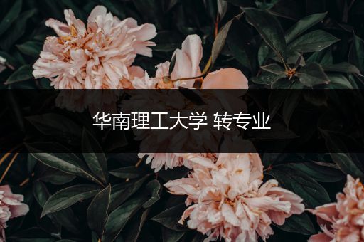 华南理工大学 转专业