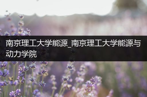 南京理工大学能源_南京理工大学能源与动力学院
