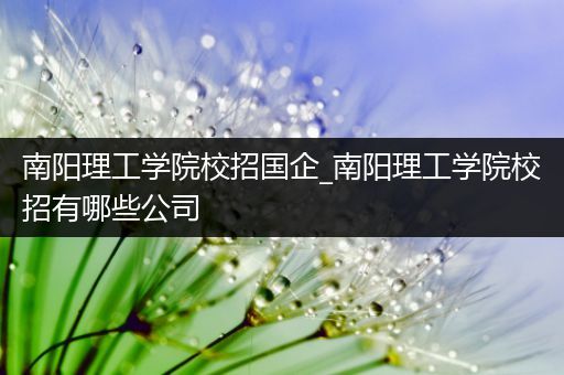 南阳理工学院校招国企_南阳理工学院校招有哪些公司