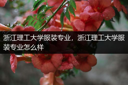 浙江理工大学服装专业，浙江理工大学服装专业怎么样
