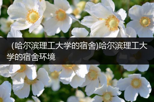 （哈尔滨理工大学的宿舍)哈尔滨理工大学的宿舍环境