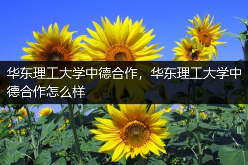 华东理工大学中德合作，华东理工大学中德合作怎么样