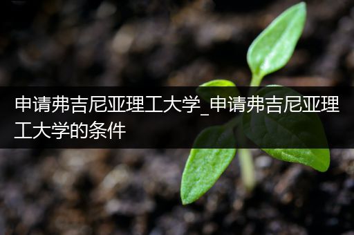 申请弗吉尼亚理工大学_申请弗吉尼亚理工大学的条件