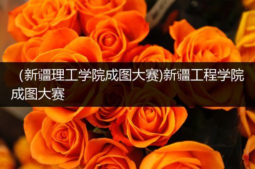 （新疆理工学院成图大赛)新疆工程学院成图大赛