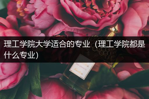 理工学院大学适合的专业（理工学院都是什么专业）