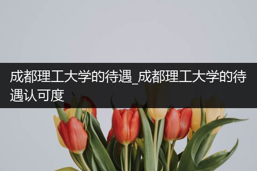 成都理工大学的待遇_成都理工大学的待遇认可度