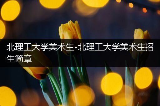 北理工大学美术生-北理工大学美术生招生简章