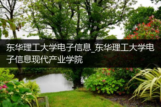 东华理工大学电子信息_东华理工大学电子信息现代产业学院