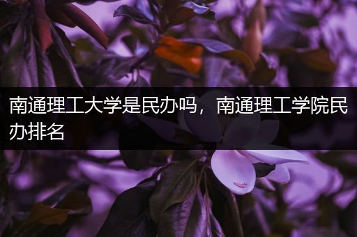 南通理工大学是民办吗，南通理工学院民办排名