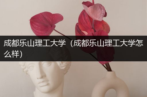 成都乐山理工大学（成都乐山理工大学怎么样）