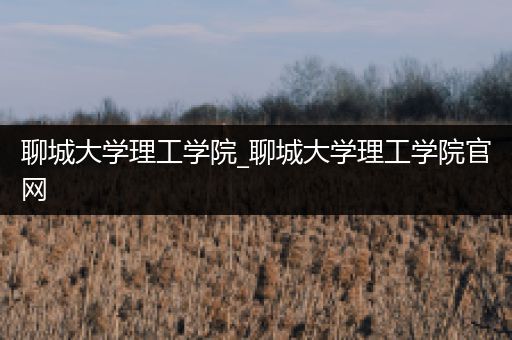 聊城大学理工学院_聊城大学理工学院官网