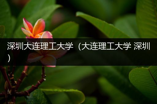 深圳大连理工大学（大连理工大学 深圳）