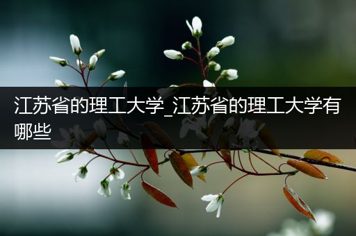 江苏省的理工大学_江苏省的理工大学有哪些