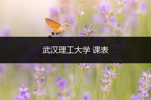 武汉理工大学 课表