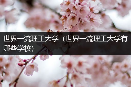 世界一流理工大学（世界一流理工大学有哪些学校）