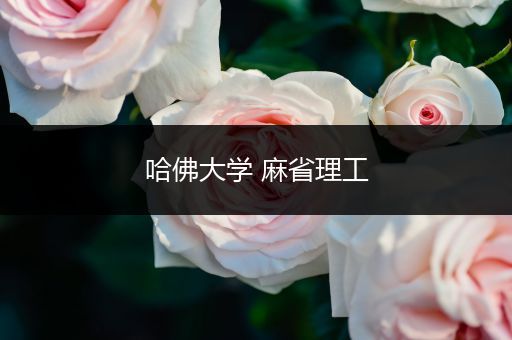 哈佛大学 麻省理工