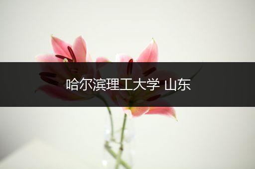 哈尔滨理工大学 山东