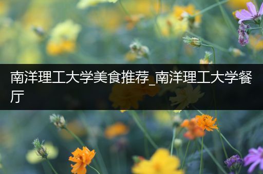 南洋理工大学美食推荐_南洋理工大学餐厅