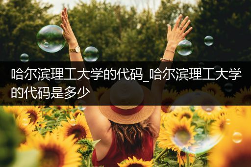 哈尔滨理工大学的代码_哈尔滨理工大学的代码是多少