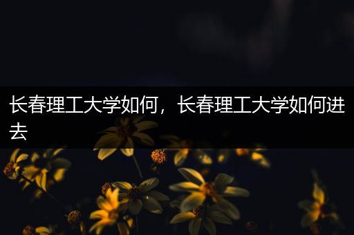 长春理工大学如何，长春理工大学如何进去